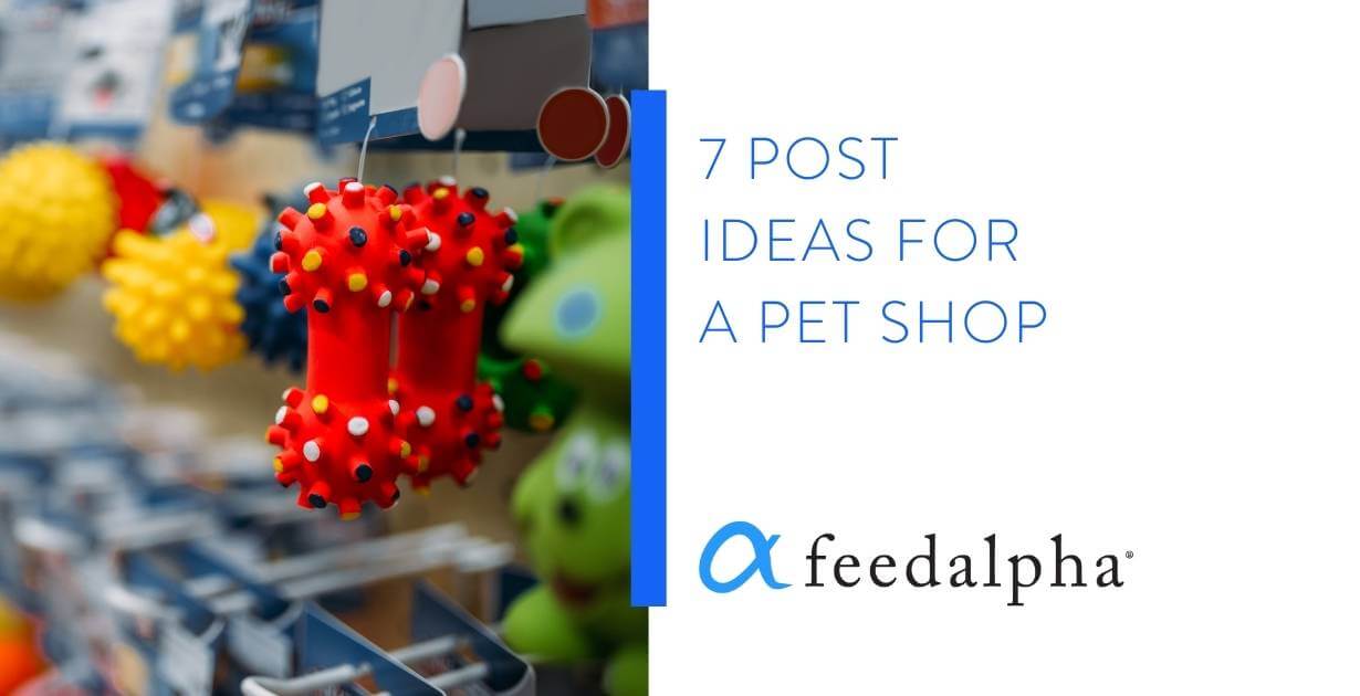 feedalpha 7 post ideas for pet shop 4