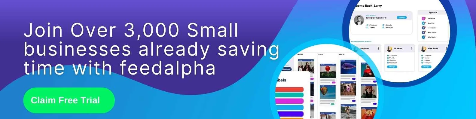 Schedule posts on feedalpha for small businesses 