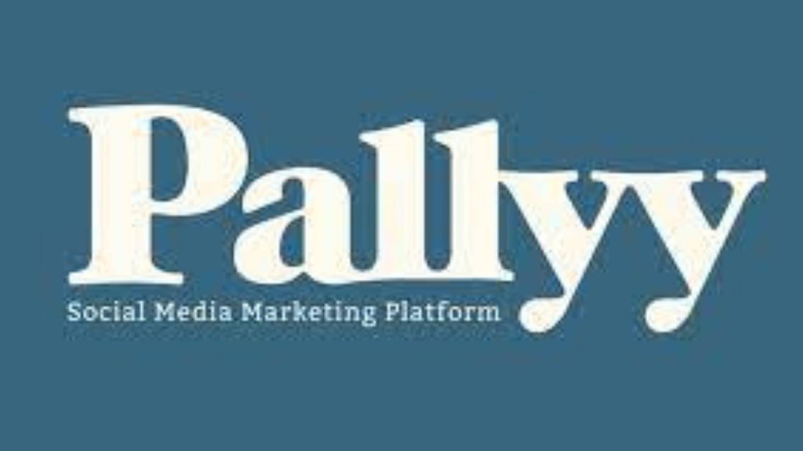 Pallyy logo